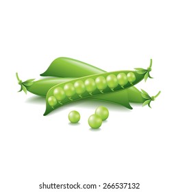 Peas isolated on white photo-realistic vector illustration