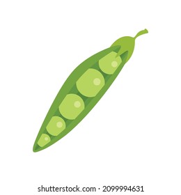 Peas legumes icon. Flat illustration of peas legumes vector icon isolated on white background