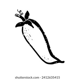 Peas. Line art, doodle, texture outline. Hand drawing. Vector element.