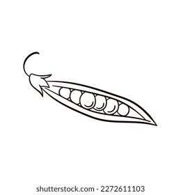 Peas in line art style. Vector Illustration of Peas icon isolated on white background.
