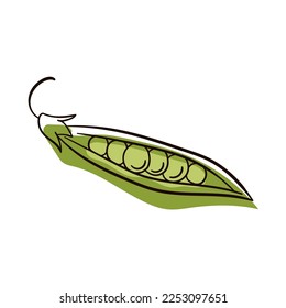 Peas line drawing. Flat illustration of Peas vector icon isolated on white background.