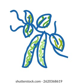 peas plant leaf doodle icon sketch vector. peas plant leaf sign. isolated symbol illustration