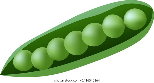 Peas in pod isolated on white vector illustration