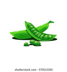Peas Seed Vector Image Illustration