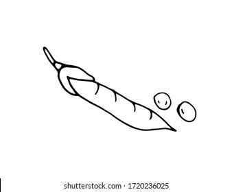 Peas are a separate element. Hand drawing. Vector isolated illustration with a legume plant. Printing on paper, fabrics, dishes, posters, mugs. Peas on a white background. Doodle style.