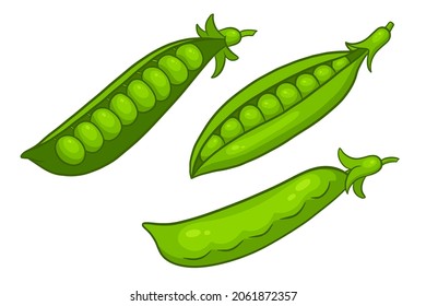 Peas set. Closed and open green pea pods. In a cartoon style. Vector illustration for design and decoration.