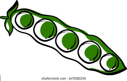 Dibujo de Peas, ilustración, vector sobre fondo blanco.
