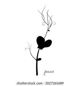 Peas sprouts black silhouette symbol. Icon Microgreen vector illustration. Green for home gardening