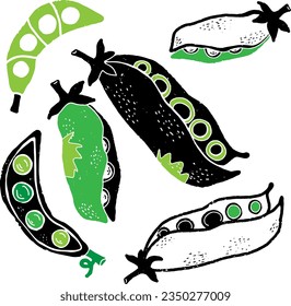 Peas. Texture graphic elements. Vector set, collection.