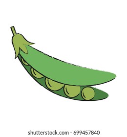 peas vector illustration