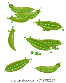 peas vector illustration