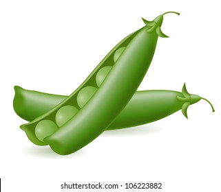 peas vector illustration isolated on white background