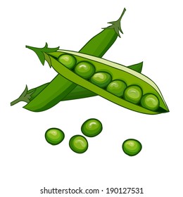 Peas Vector On White