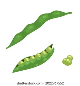 Peas vegetable fresh veg product, organic farm food production vector illustration. Cartoon healthy raw green peas for vegetarian or vegan diet isolated on white