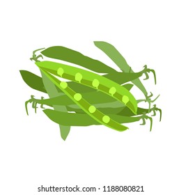 peas, vegetable on white background, vector illustration
