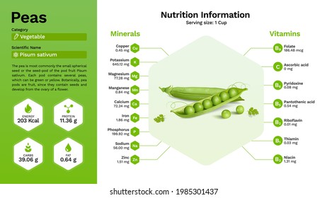 Peas vegetable and their nutritional properties -Vector illustration