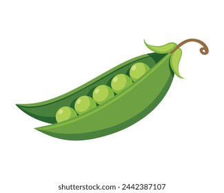 
Peas Vegetables flat vector illustration on white background