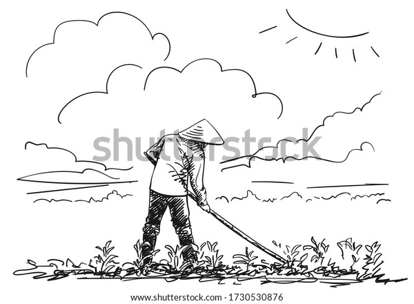 Peasant Vietnamese Hat Works On Field Stock Vector (Royalty Free ...