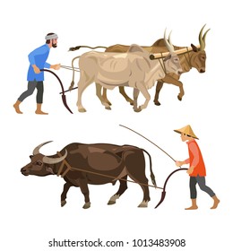 Peasants plow the land with oxen. Vector illustration isolated on the white background