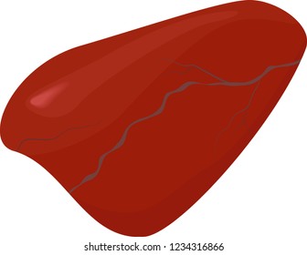 pebble of red jasper macro isolated on white background