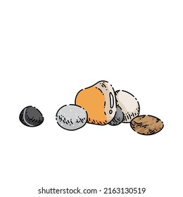 pebble sketch hand drawn vector rock stone, beach river round sand, oval