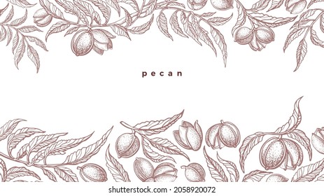 Pecan border. Vector texture branch, nuts. Vintage botany hand drawn background. Healthy organic protein food. Botanical template