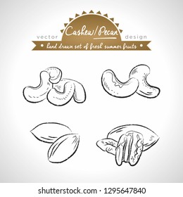 Pecan, cashew nut. Hand drawn collection of vector sketch detailed fresh fruits. Isolated