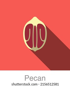 Pecan Flat Icon, Vector Illustration