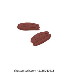 Pecan, fresh raw peeled nuts kernels. Healthy vegetarian snack, wholesome food. Vegan protein and fat superfood. Stylized carya illinoinensis. Flat vector illustration isolated on white background