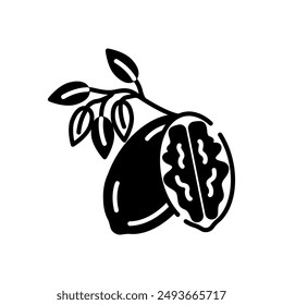 Pecan Glyph Icon, Vector illustration