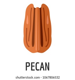 Pecan icon. Flat illustration of pecan vector icon for web