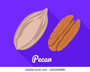 Pecan icon. Flat illustration of pecan vector icon for web design