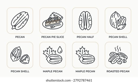 Pecan icon set displays pecan pecan pie slice pecan half 