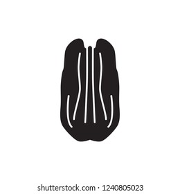 pecan icon vector glyph style. nut and bean icon