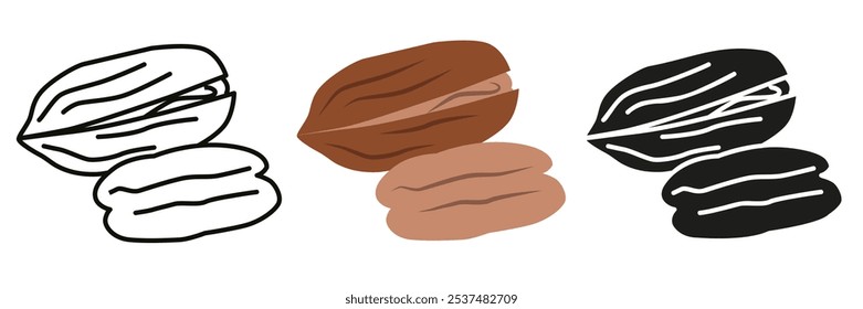 Pecan. Pecan illustration in different styles. Pecan nut for your advertising. EPS 10.