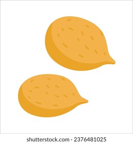 Pecan isolated on white background. Vector illustration. Cute pecans