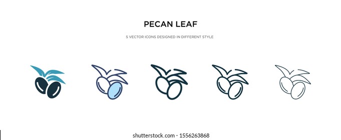 pecan leaf icon in different style vector illustration. two colored and black pecan leaf vector icons designed in filled, outline, line and stroke style can be used for web, mobile, ui