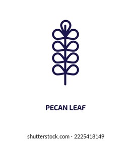 pecan leaf icon from nature collection. Thin linear pecan leaf, pecan, leaf outline icon isolated on white background. Line vector pecan leaf sign, symbol for web and mobile