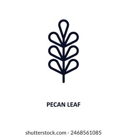 pecan leaf icon. Thin line pecan leaf icon from nature collection. Outline vector isolated on white background. Editable pecan leaf symbol can be used web and mobile