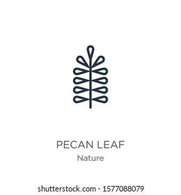 Pecan leaf icon. Thin linear pecan leaf outline icon isolated on white background from nature collection. Line vector sign, symbol for web and mobile