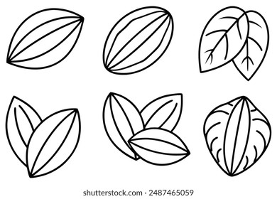 Arte de la línea Pecan Leaf que captura la elegancia natural con trazos minimalistas