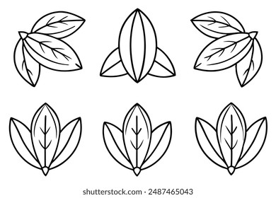 Pecan Leaf line art exploring simplicity in pecan leaf patterns