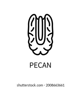 Pecan Line Icon In A Simple Style. Milk Of Vegetable Origin. Vector sign in a simple style isolated on a white background. Original size 64x64 pixels