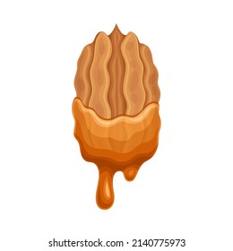 Pecan in liquid caramel. Nutritious natural sweet dessert vector illustration