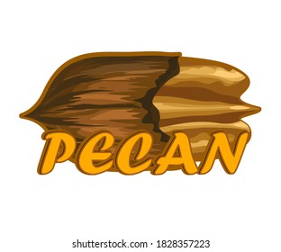 Pecan-Logo mit illustriertem Pecan in der Schale