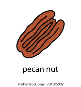 Pecan nut color icon. Isolated vector illustration