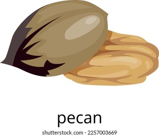 Pecan nut color icon. Raw vegan snack