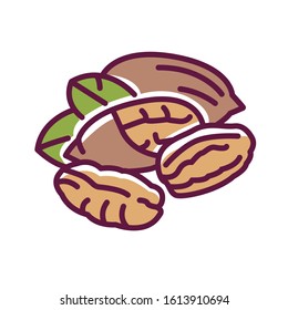 Pecan nut color line icon. Nuts in the shell and with leaves. Pictogram for web page, mobile app, promo. UI UX GUI design element. Editable stroke.