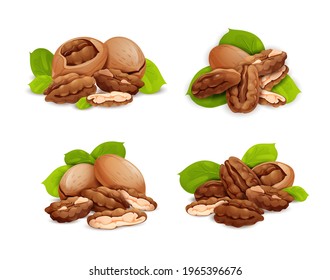 Pecan nut compositions set, side and top view. Whole and cracked nuts, hulled and raw kernels and green leaves. Good for labels and stickers, packaging design. Vector illustration in cartoon style