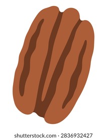 Pecan nut flat color vector food icon illustration for healthy snack, baking, grocery and nutrition themes.